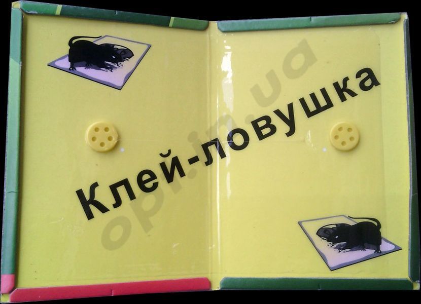 Пастка клейова для гризунів "книжка" 17*26 см (мал.) 5817 фото